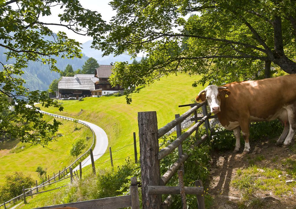 Schrunerhof Ebene Reichenau Екстер'єр фото