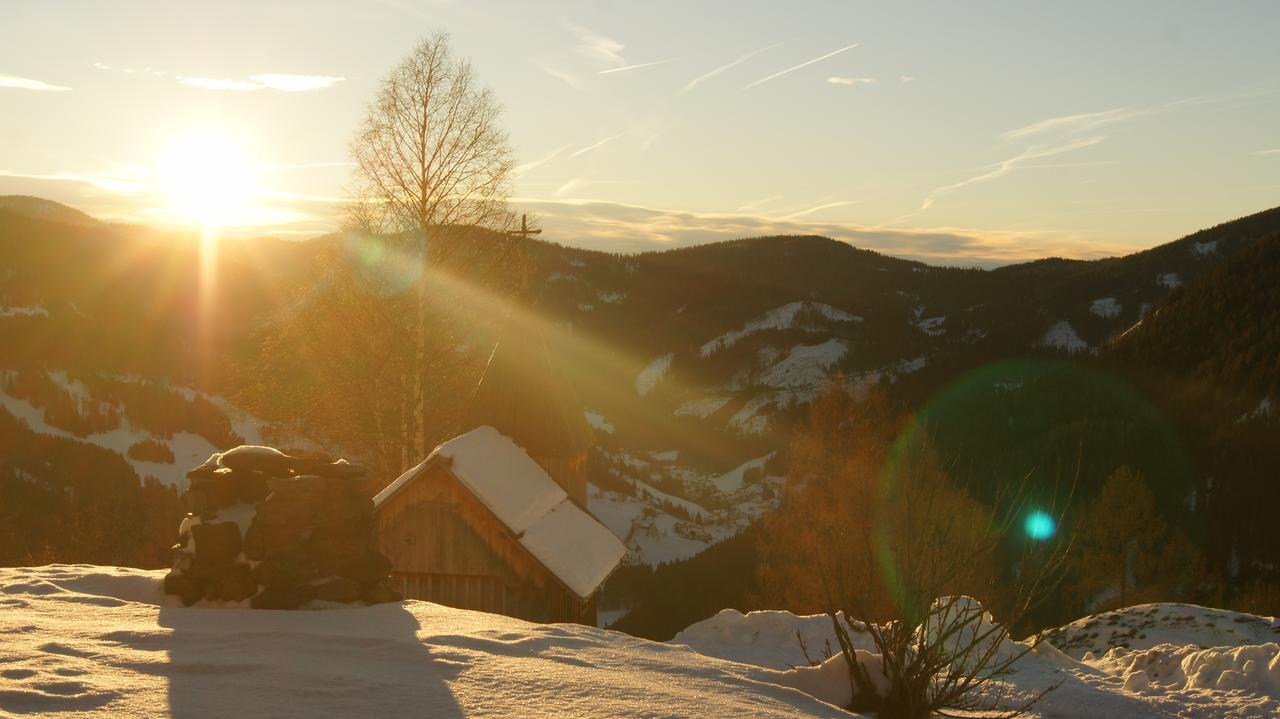 Schrunerhof Ebene Reichenau Екстер'єр фото